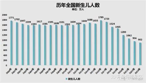 2024年出生的孩子|中国生育报告2024